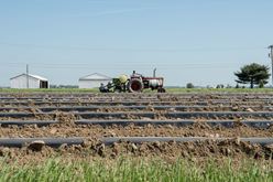 Field Preparation for Summer Crops Image