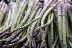 Appeal of Fresh Asparagus: From Ancient Times Until Today Image