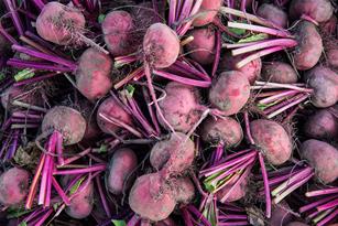 Nutritional Benefits of Beets – and Disease-Fighting Properties Thumbnail