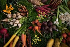 Brain Boosting Foods Include Farm-Fresh Vegetables Image