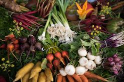Enjoy Farm-Fresh Vegetables Without Ever Leaving Home Image