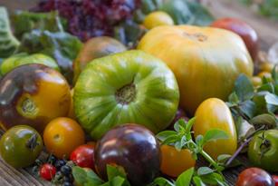 Tomato and Basil: Sun-shiny Taste of Summer Thumbnail
