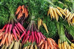 Hear, Ye, Hear Ye: All Hail the Farm-Fresh Carrot! Image