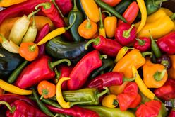 Farm-Fresh Peppers: Experience the Rainbow Image