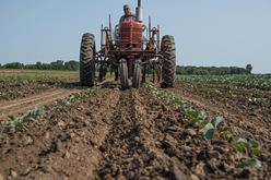 Healthy soil: a look at how and why we rebuild soil health Image