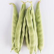 Green Romano Beans