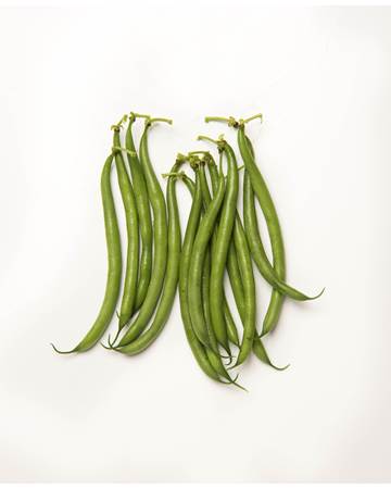 Beans-Wax-Green-1-of-1