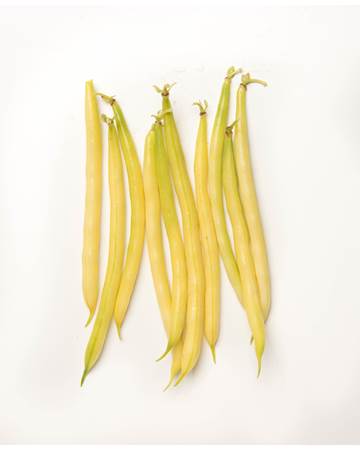 Beans-Wax-Yellow-1-of-1