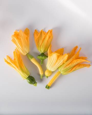 Mixed Squash with Bloom