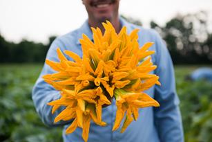 The Squash Blossoms Are Here! Thumbnail
